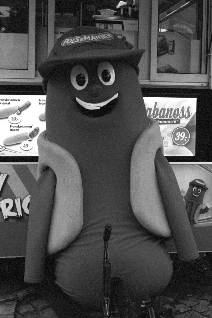 Kickstarting Your Culinary Journey: Mastering Meat Sausage Making Techniques